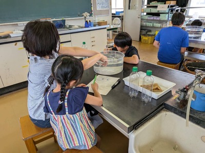 実験2026_浮沈子 (11)